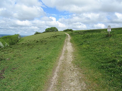 On Harting Downs - geograph.org.uk - 2410970