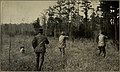 Hunters with flushing spaniel to left, USA 1885