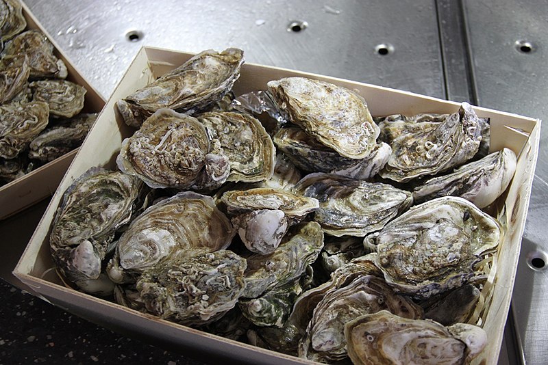 File:Oysters in the restaurant (37576387860).jpg