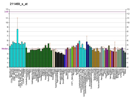 File:PBB GE CXCR6 211469 s at fs.png