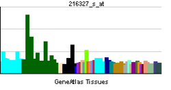 PBB GE SIGLEC8 216327 s ĉe tn.png