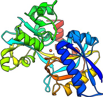 Total iron-binding capacity