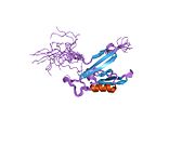 PDB 1wfg EBI.jpg