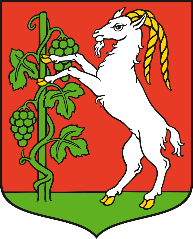 Lublinum: insigne