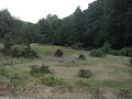 Green plain in Pruno on the road upon mount Vesalo