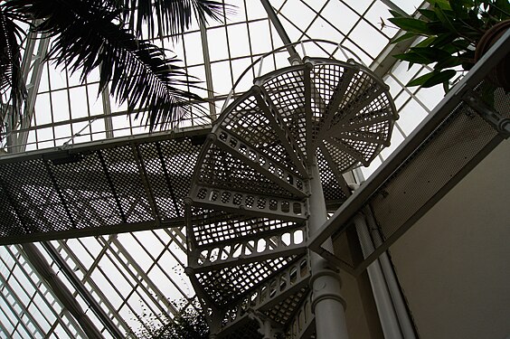 stairs in the palm house, situated in the garden of the Pillnitz castle near Dresden