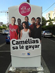 Panneau en créole réunionnais : Camélias sa lé gayar - Les Camélias, c'est génial