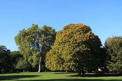 Parque Montsouris