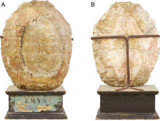 <span class="mw-page-title-main">Plesiochelyidae</span> Extinct family of turtles