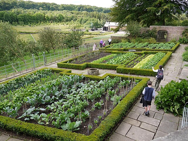 Kitchen garden - Wikipedia