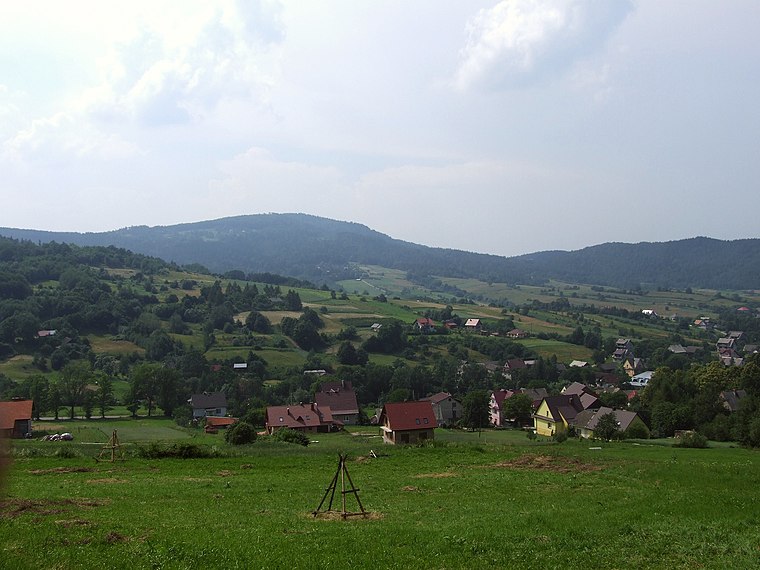 Uklejna