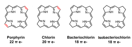 Structures comparing porphin, chlorin, bacteriochlorin, and isobacteriochlorin Porphyrin, chlorin, bacteriochlorins.png