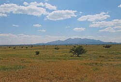 Prairie Near Empire Ranch House Cienega Valley Arizona 2014.jpeg