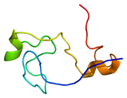 Oqsil ARIH1 PDB 1wd2.png