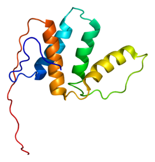 <span class="mw-page-title-main">PECI (gene)</span>