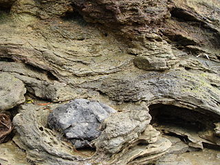 <span class="mw-page-title-main">Pukewairiki</span> Volcano in New Zealand