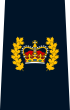 RCMP Staff Sergeant Major insignia.svg