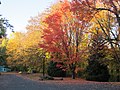 Reed College (2013)