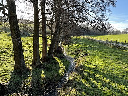 Rheinbach Merzbach Stiefelsbach Blick nach Süden