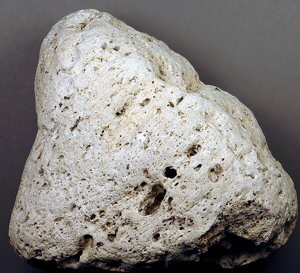 Rhyodacite pumice from the late August 1883 eruption of Krakatoa. This rock floated across the Indian Ocean for almost a year before it washed ashore 