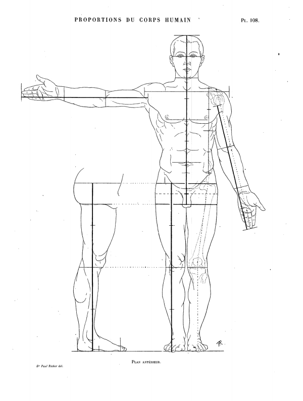 PROPORTIONS DU CORPS HUMAIN Pl. 108