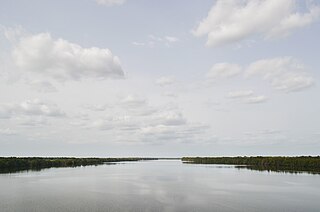 <span class="mw-page-title-main">Cacheu River</span> River in Guinea-Bissau