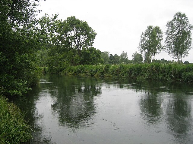 The start of the lower half, near Fordingbridge