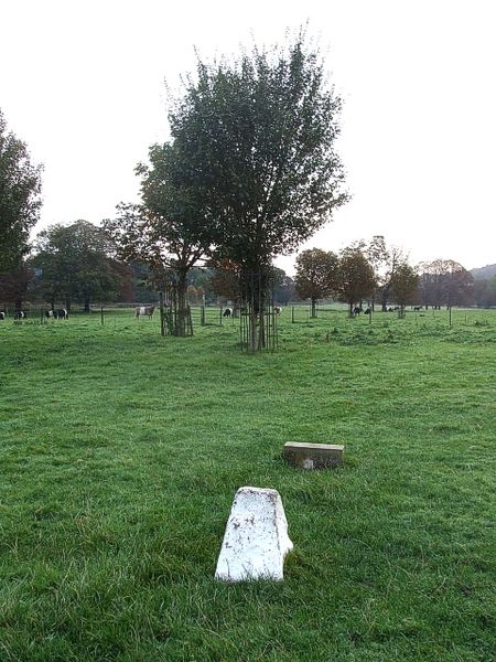 File:Robert Snooks Grave.jpg