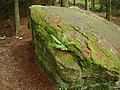 Thumbnail for File:Rock in a wood - geograph.org.uk - 71655.jpg