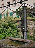 Brunnen Roscheiderhof im Rosengarten