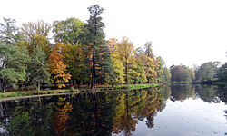 Rudnik nad Sanem - widok na staw przy zespole parkowo-pałacowym Tarnowskich - panorama