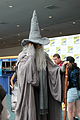 Gandalf (cosplay)