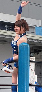 Princess of Pro-Wrestling Championship Japanese professional womens wrestling championship