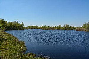 Schleswig-Holstein, Heide, Ostroher-Süderholmer Moor NIK 0111.JPG