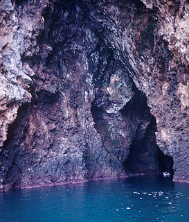 Sea cave Cave formed by the wave action of the sea and located along present or former coastlines