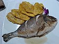 Seafood at Marisqueria Jibara Restaurant, San Sebastian, Puerto Rico.jpg