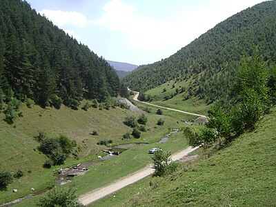 RÄƒÈ™inari Wikiwand