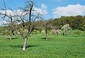 * Nomination Spring landscape in Southern Germany --Harke 10:36, 3 May 2011 (UTC) * Promotion A QI for me. Good composition. I like the image. --Elektroschreiber 22:30, 3 May 2011 (UTC)