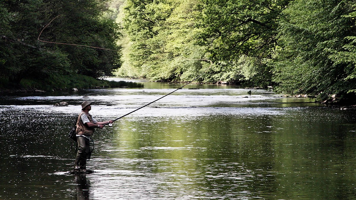 pêche en rivière