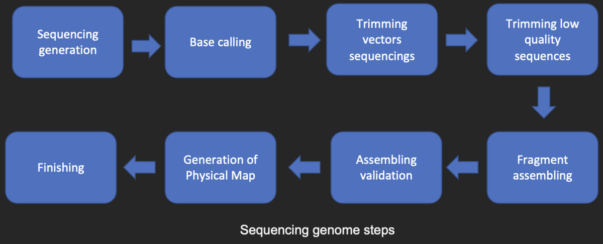 Image: 450 pixels Sequencing analysis steps