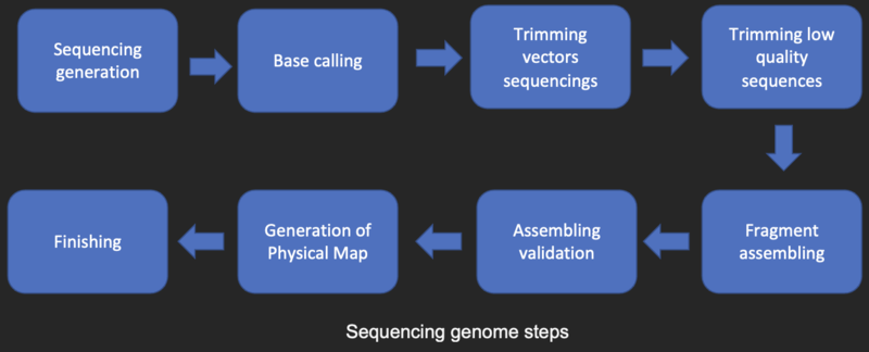 File:Sequencing analysis steps.png