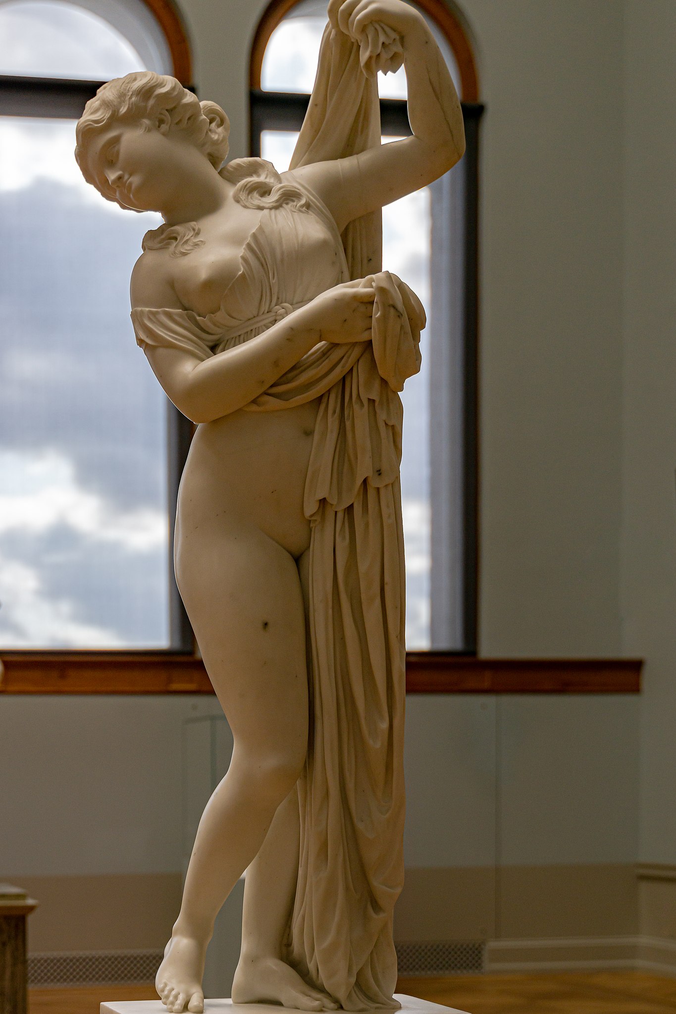 Venus Callipyge - Wikidata