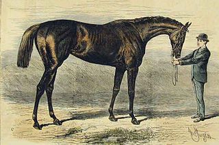 <span class="mw-page-title-main">Shotover (horse)</span> British-bred Thoroughbred racehorse