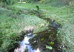 Spring Creek (Fort Collins, Colorado)