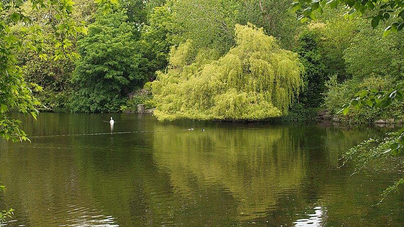 File:St. Stephen's Green, Dublin (507069) (32164547810).jpg