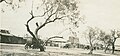 Storefronts in Llano, Texas around 1912, from an old postcard.