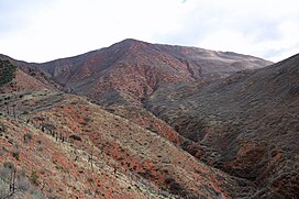 Badai Raja Gunung (Colorado).JPG