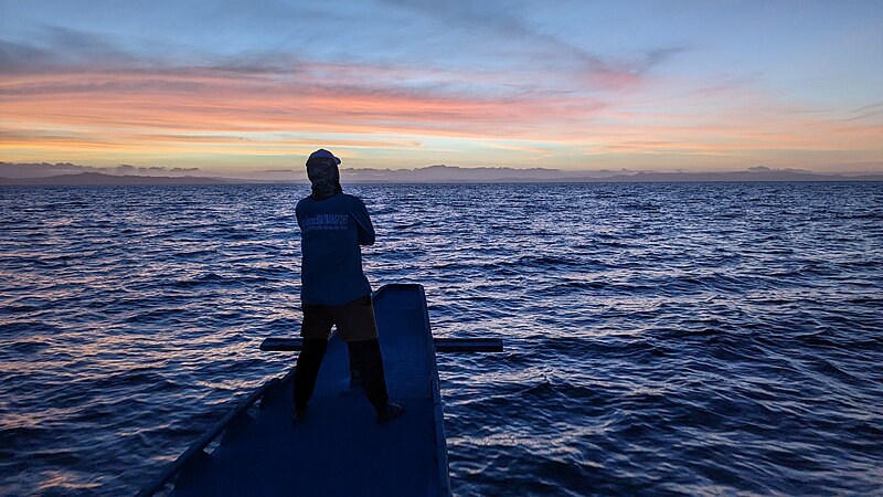 File:Sunrise on a boat in Malapascua 002.jpg