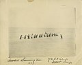 Swimming lesson, Y.M.H.A. camp, Detroit, Michigan, 1929 (7680417820).jpg