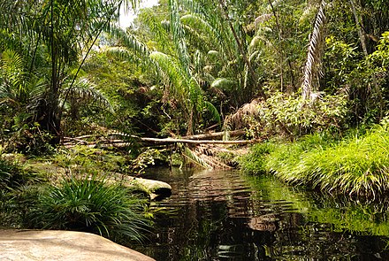 The river at Tajor Falls